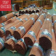 |ۄձC10100o~ ~ ~ ~  ȸ߿