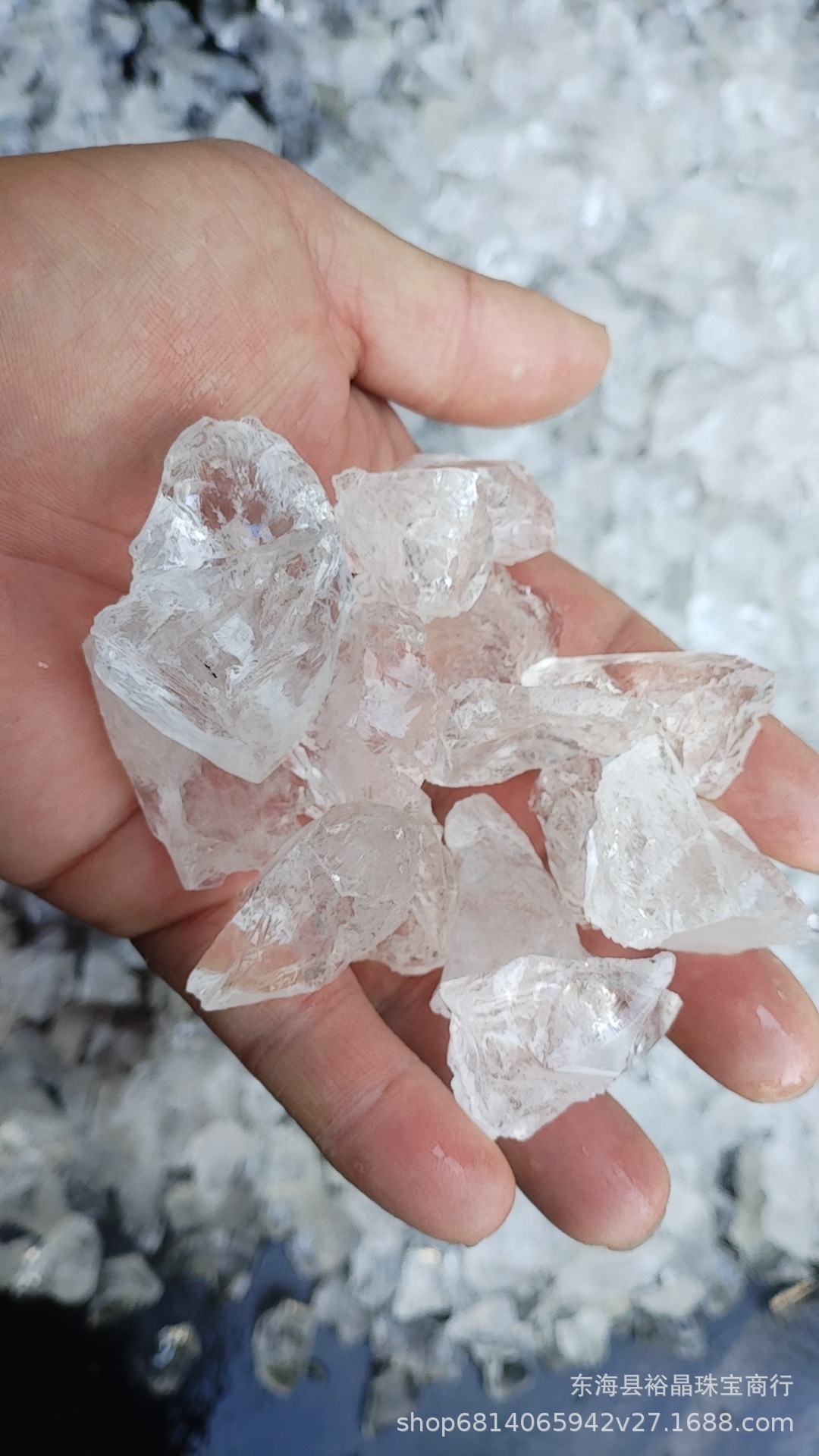 微信图片_20240526141840