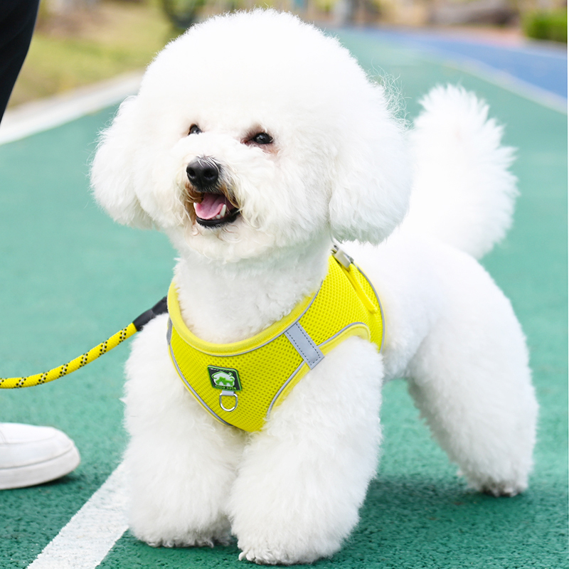 ベスト型小型犬ビションテディポメラニアン子犬子犬ハーネス犬用リード犬用チェーン犬用リード|undefined