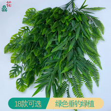 ����ֲ�ﴹ���~�����~��˹�~�ڒ��ٗl�Gֲ����ľƵ���@�ٻ��b�