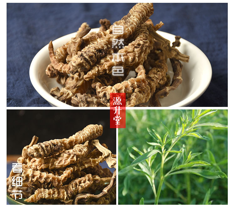 Yunnan Di Shen (Cordyceps-Shen) Dried Root 500g — Herbal Soak & Tea Ingredient key features