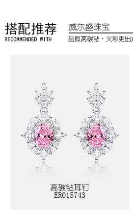 ER015743,PD015742,RG015744_01.