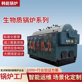蒸汽发生器;燃煤锅炉;燃气锅炉