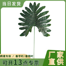 ~l 滨ٻԾӼb[ֲ WpݷGֲ