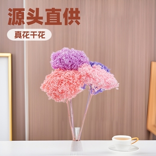 Anna Hydrangea Eternal Flowers Dried Flowers Real Flowers bouquet Home Decoration Wedding Arrangement Yunnan Factory Wholesale