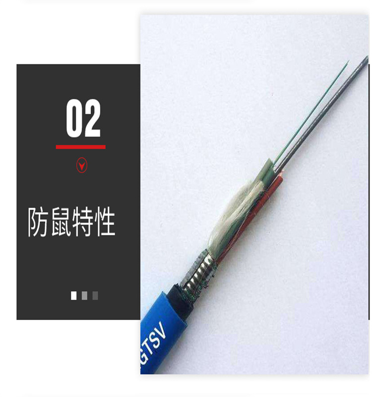 2~66{O}UDA489I)]K0[~TTF