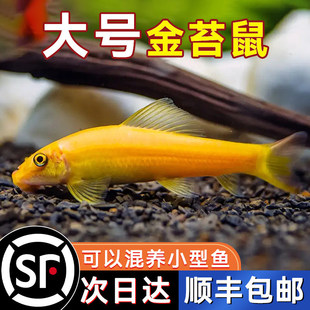 ��̦���坍�~�~�׳��������~�Ꭷ�^�p�~������坍�����С�~���w