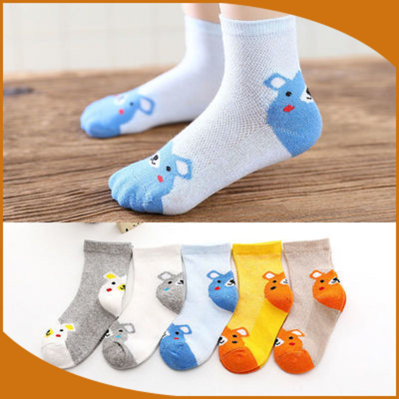 5 쌍-발 뒤꿈치 곰 (메쉬 통기성)-발 길이 8-12cm 제안 [0-2 세]