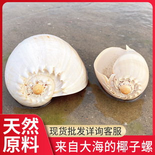 ��Ȼ����ؐ��Ҭ���� �Sư���~��ɺ�����쾰��������˱��b�Ʒ