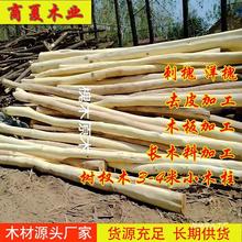 ��ľԭľ�̻�ԭľȥƤ���С��ľ�����������Θ����ľ���