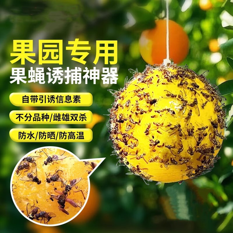 诱蝇球果园粘虫球果实蝇诱虫粘球大黄色实蝇专用果蝇诱捕器强力粘