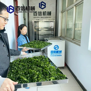 厂家供应  海带烘干机  高温热泵海带烘干一体机 海带烘干设备