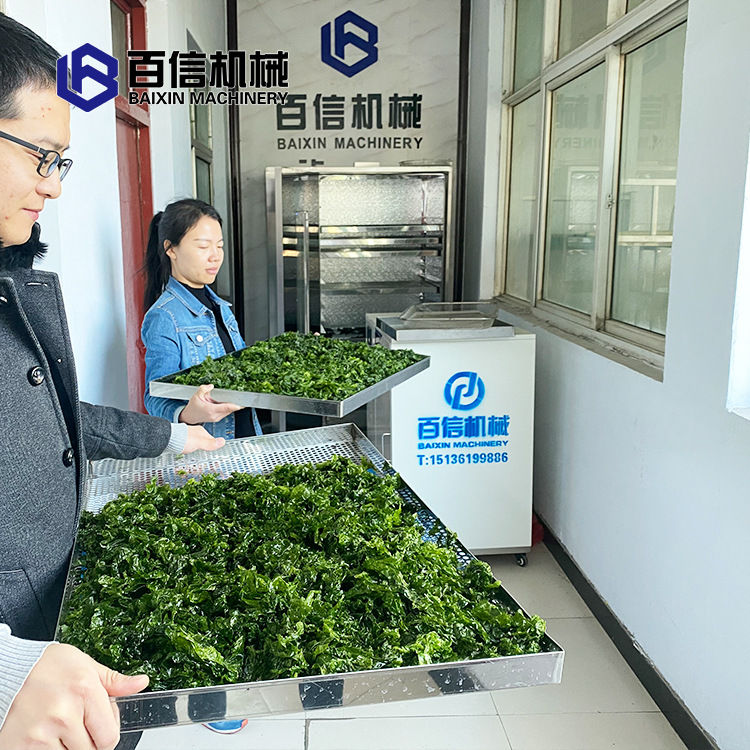 甘蓝烘干机 热风循环甘蓝烘干房 厂家供应甘蓝热泵烘干机