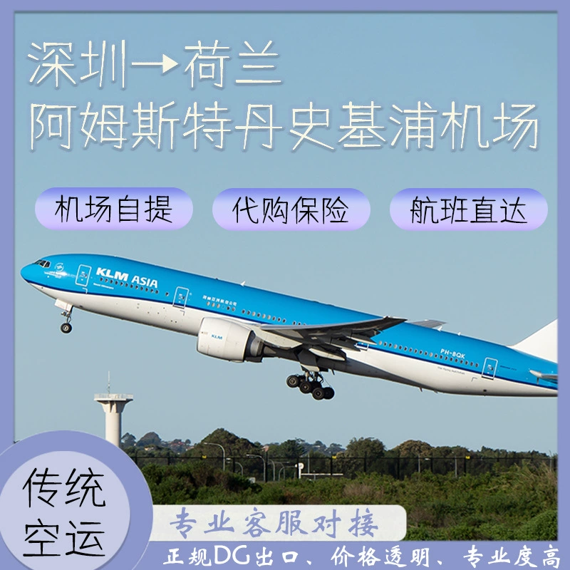 Тройная литиевая батарея Шэньчжэнь по воздуху в аэропорт Амстердама Схипхол, Нидерланды