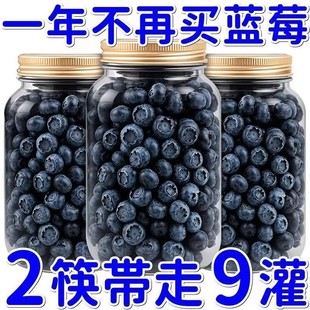 �{ݮ�ɟo�ǟo���Ӄ�ͯ�ЋD����ʳƷ�|��Ұ�����r�{÷�ɝ��������l