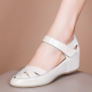 5.5cm���m������ЬŮ��2026�¿�ܛ���¸�����ŮЬһ�֎����^��Ь