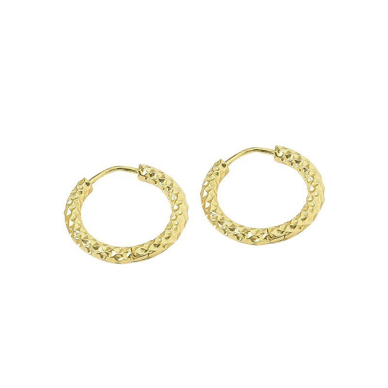 Women's Gender 1 Pair Simple Style Geometric Plating Titanium Steel Earrings