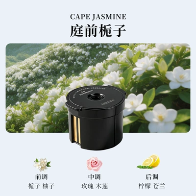 Car Perfume Aromatherapy: Long-Lasting Fragrance Men's Car - garden-gardenia1-incense-box