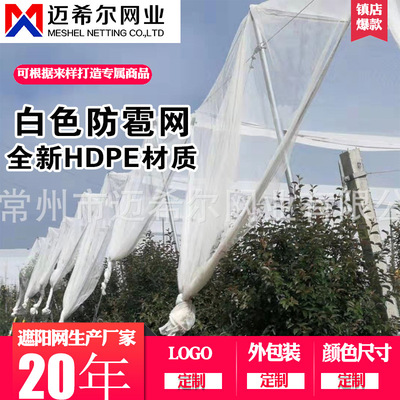 葡萄果园防冰雹网厂家  塑料冰雹网  白色防雹网  月牙行防护网|ms