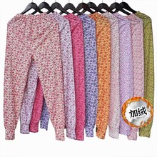 妈妈女士秋冬加绒秋裤中老年印花保暖裤地摊跑量衬裤拉绒纯色女裤