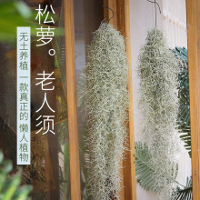 ���]��������}�՚�՚��P��o��ֲ��Gֲ�������ҿ͏d�����՚�