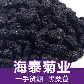 散装新货桑葚干桑椹干花茶新疆黑桑椹子无沙桑椹干桑葚子源头厂家