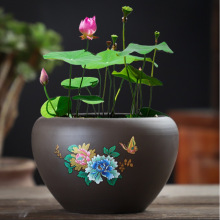 ��ɰ��̖�ɻ���ɏ�������մ�ˮ���~�X�ݻ���o��ˮ�B˯ɏ��ɏ���