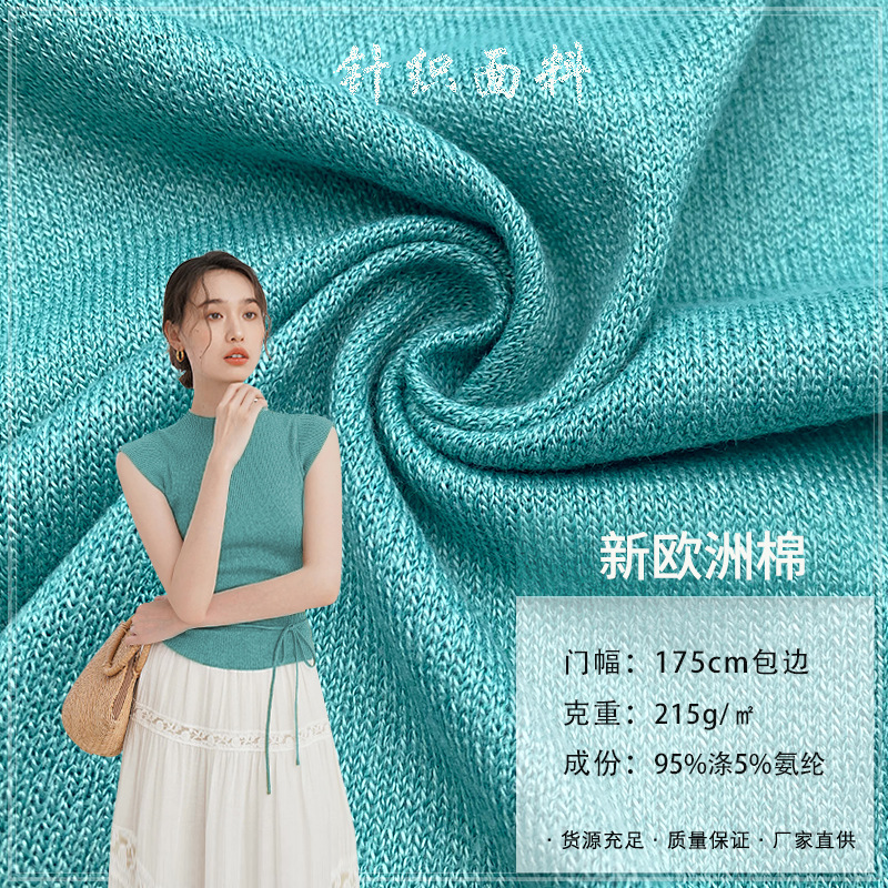 新欧洲棉新品羊毛绒215G涤氨拉架汗布春夏透气家居服内衣针织面料
