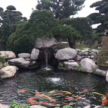 泰山石 石蛋园林绿化原石厂家买卖 河道水冲石造景泰山石