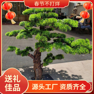 ����ӭ�����ɘ���ɘ��̈��ҷ����ɘ��҃����b����ɘ����ɔ[��