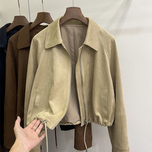 2026�＾�¿�͹���Ƥ�q�A������Ů�nϵС���Ӷ̿��w�з�����