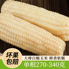 �|���SŴ���װ���Ŵ�����S��a�^��հ��b���x�������Ŵ������