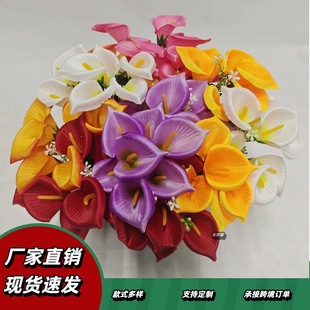 �羳���N�����R��ɏ���͏d�������ܲ廨��c���üҾ��b����