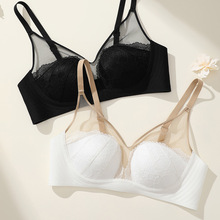 3366�O���p��ײɫ�ٽz�W������ܛŴ�o�Ȧ�����z�l���Ђ���������