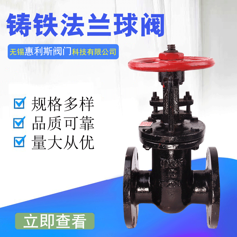 Z41T-10铸铁法兰闸阀 污水用硬密封法兰闸阀 明杆法兰闸阀 DN50