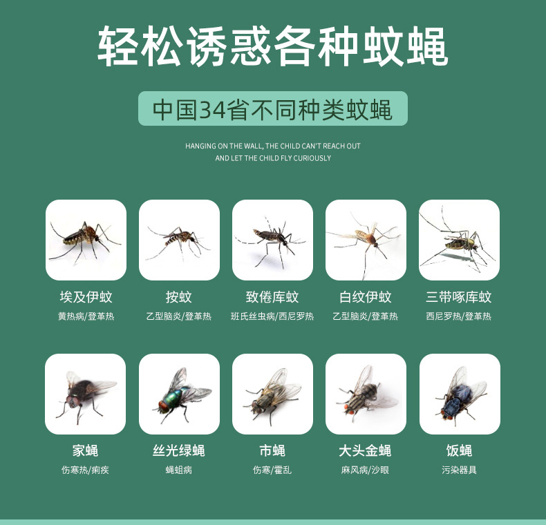 绿色_08