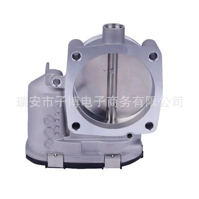 Electronic Throttle – Drossel