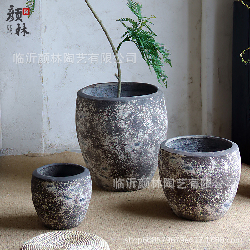 Retro de alto nivel gran calibre centro comercial hotel lirio bambú dragón árbol de sangre pájaros del cielo gran maceta verde