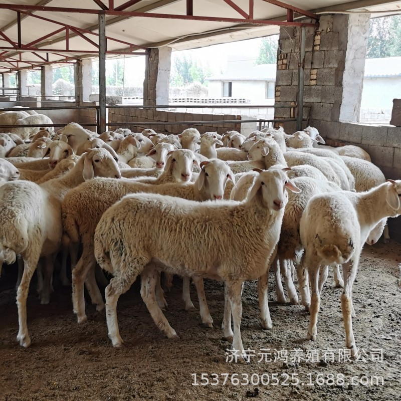 880E7F7065D919BF4F6B8BE4CF3907