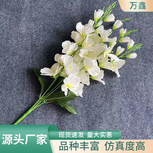 �S�ҬF؛�¿�m�����Ϸ��潁����c�Y�Ñ���Ҿ��b��滨�ٻ�