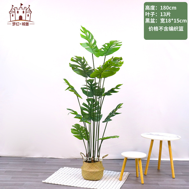 Simulación de plantación verde de plátano de bambú de tortuga grande planta de plantación de ventana interior diseño de ángulo de planta de árbol falso paisajístico