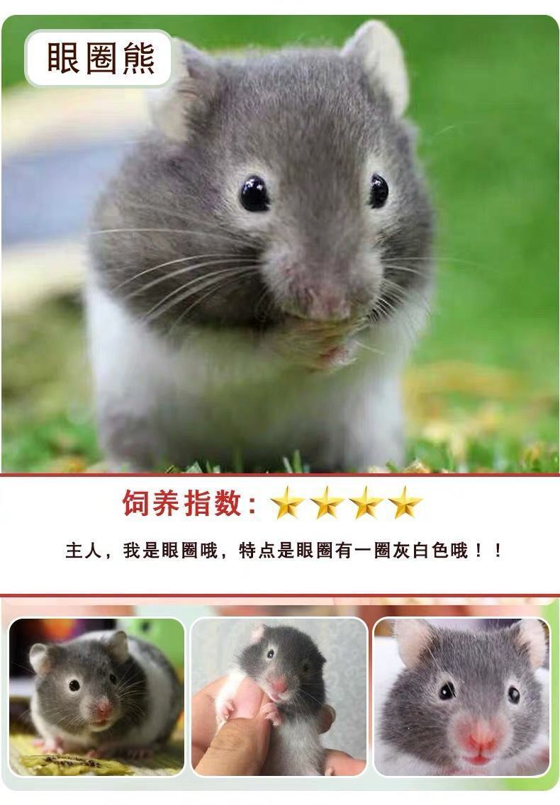 d8134313-6383-4f27-8b85-df1dc6ae15be.jpe