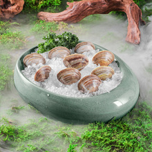 A5�ܰ�ɽҰ�L����ɽϵ�ִ��r��������ӱP�Z�cë�ǱP�´ɲ;�����