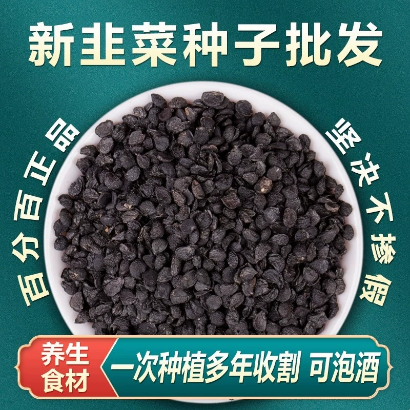 Семена фиолетового корня лука-порея, семена широколистного лука-порея, свежие рассады корня лука-порея, семена овощей для четырехсезонного балкона в горшках