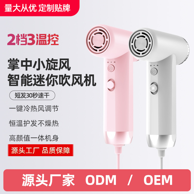 In-Stock Ultra-Mini High-Speed Hair Dryer, Low-Power Travel Hair Dryer with Negative Ions for Hair Care