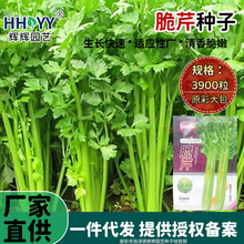 ���۷N�Ӳ������۷N�ӱ����۲˷N���̨ͥԺ�＾�ļ��߲˷N�Ӵ�ȫ