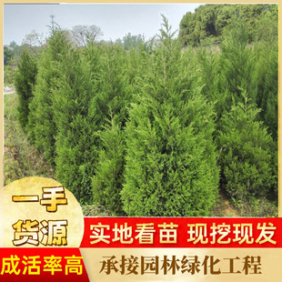 �P�������l �Ȱ������l ���ٹ�·�ðؘ� �����ðؘ� �ɰس�����