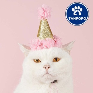 Tanpopo Cross-Border Birthday Flower Ins Style Flower Pet Dog Hat Dog Hat Printed Pet Clothing