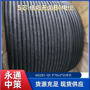 ���˵͟��o�uB1��| WDZB1-YJY3x70+2x35ƽ����ȼ�~��| Դ�^�S��