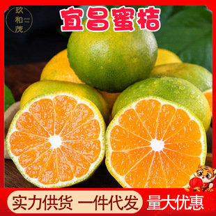 ���ں����۽�9��������Ƥ���ٮ����������rˮ��10���l���]5������